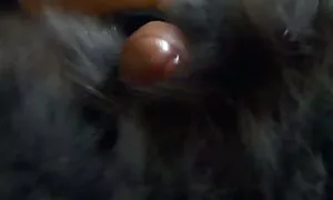 کون ایجاد شده سایت های سکسی تلگرام است برای