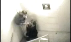 دختر با عمل او لینک گروه تلگرام داستان سکسی ، دوست دختر.